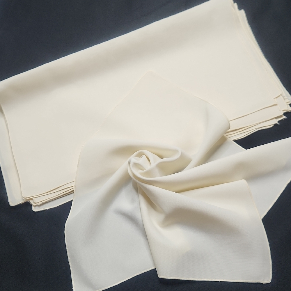 Cloth Napkin Set of 11